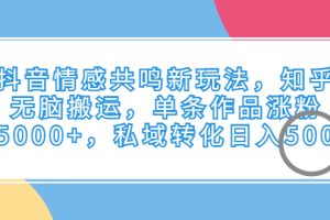 (6758期)抖音情感共鸣新玩法,知乎无脑搬运,单条作品涨粉5000+,私域转化日入500