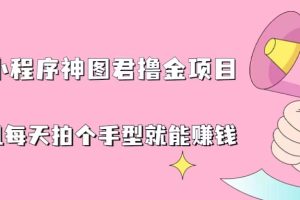 (6733期)抖音小程序神图君撸金项目,用手机每天拍个手型挂载一下小程序就能赚钱