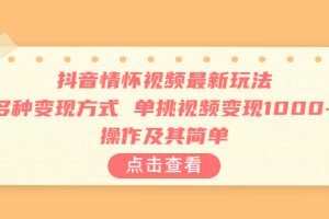 (6683期)抖音情怀视频最新玩法,多种变现方式,单挑视频变现1000+,操作及其简单