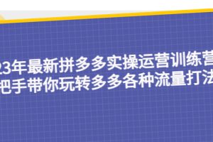 （5435期）23年最新拼多多实操运营训练营：手把手带你玩转多多各种流量打法！
