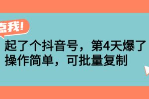 （2538期）起了个抖音号，第4天爆了！操作简单，可批量复制