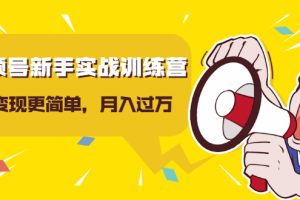 （1627期）视频号新手实战训练营，让变现更简单，玩赚视频号，轻松月入过万