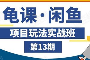 (1440期)闲鱼项目玩法实战班第13期:从0到N+方法,全程直播 现场演练(全套无水印)