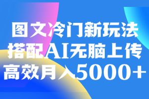 （8094期）图文冷门新玩法，搭配AI无脑上传，高效月入5000+
