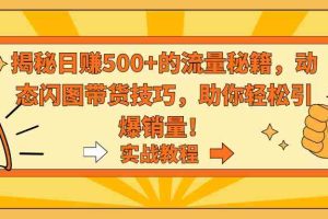 （9058期）揭秘日赚500+的流量秘籍，动态闪图带货技巧，助你轻松引爆销量！