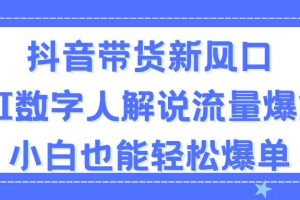 (11401期)抖音带货新风口,AI数字人解说,流量爆炸,小白也能轻松爆单