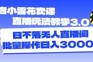 (11595期)抖音小雪花卖课直播玩法教学3.0,日不落无人直播间,批量操作日入3000+