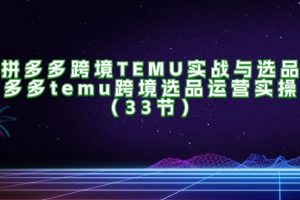 (11934期)拼多多跨境TEMU实战与选品,多多temu跨境选品运营实操(33节)