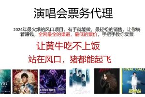(12111期)演唱会门票代理,2024年低价票,小白能上手,手把手教你卖票,日入2000+