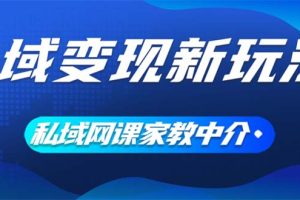 (12089期)私域变现新玩法,网课家教中介,只做渠道和流量,让大学生给你打工、0…