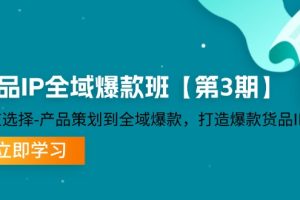 (12078期)货品-IP全域爆款班【第3期】赛道选择-产品策划到全域爆款,打造爆款货品IP