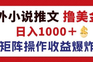(12333期)最新海外小说推文撸美金,日入1000+ 蓝海市场,矩阵放大收益爆炸