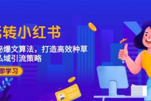 (12402期)玩转小红书:揭秘爆文算法,打造高效种草与私域引流策略