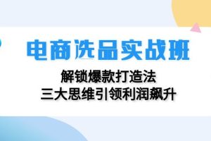 (12398期)电商选品实战班:解锁爆款打造法,三大思维引领利润飙升