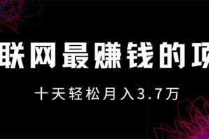 (12396期)互联网最赚钱的项目没有之一,轻松月入7万+,团队最新项目