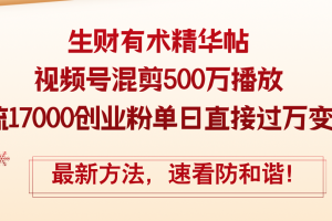 (12391期)精华帖视频号混剪500万播放引流17000创业粉,单日直接过万变现,最新方…