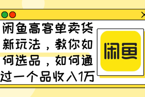 (12387期)闲鱼高客单卖货新玩法,教你如何选品,如何通过一个品收入1万+