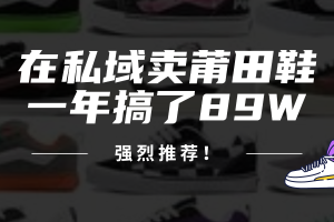 (12370期)24年在私域卖莆田鞋,一年搞了89W,强烈推荐!