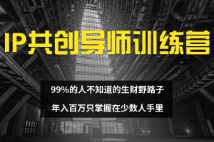 (12504期)IP共创导师训练营 99%的人不知道的生财野路子 只掌握在少数人手里