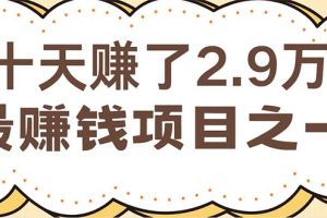 (12491期)闲鱼小红书赚钱项目之一,轻松月入6万+项目