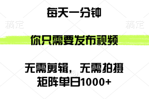 (12538期)矩阵单日1000+,你只需要发布视频,用时一分钟,无需剪辑,无需拍摄