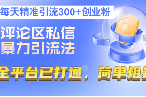 (12714期)评论区私信暴力引流法,每天精准引流300+创业粉,全平台已打通,简单粗暴