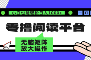 (12710期)零撸阅读平台 解放双手、实现躺赚收益 矩阵操作日入3000+