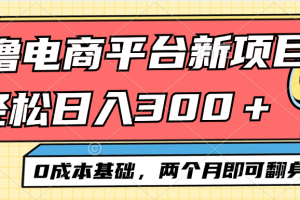 (12685期)电商平台新赛道变现项目小白轻松日入300+0成本基础两个月即可翻身