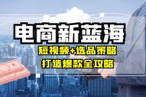 (12677期)商家必看电商新蓝海:短视频+选品策略,打造爆款全攻略,月入10w+