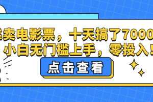 (12665期)靠卖电影票,十天搞了7000+,小白无门槛上手,零投入!