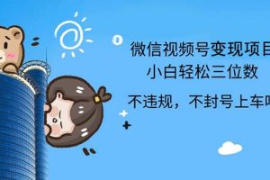 (12660期)2024最新微信视频号,0撸项目,自己玩,小白轻松日入三位数