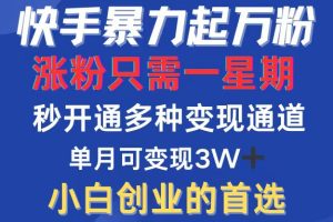 (12651期)快手暴力起万粉,涨粉只需一星期,多种变现模式,直接秒开万合,小白创…