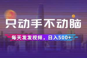 (12638期)只动手不动脑,每天发发视频,日入500+