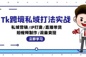(12598期)Tk跨境私域打法实战:私域营销/IP打造/直播带货/短视频制作/流量变现