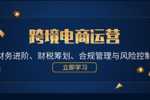(12592期)跨境电商运营:财务进阶、财税筹划、合规管理与风险控制
