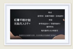 (12560期)红薯千粉计划无脑月入5千+!既做既赚!