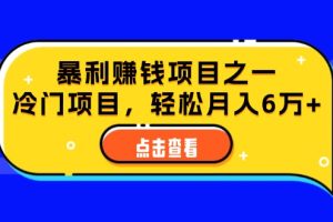 (12540期)视频号最新玩法,老年养生赛道一键原创,内附多种变现渠道,可批量操作