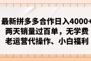 (12869期)拼多多最新合作日入4000+两天销量过百单,无学费、老运营代操作、小白福利