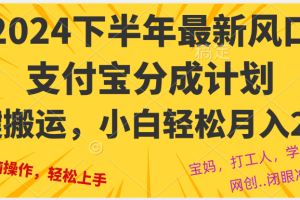 (12861期)2024年下半年最新风口,一键搬运,小白轻松月入2W+