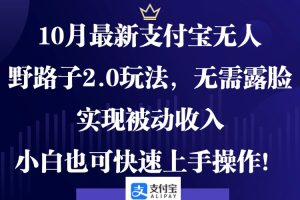 (12824期)10月最新支付宝无人野路子2.0玩法,无需露脸,实现被动收入,小白也可…