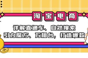 (12814期)2024淘宝电商课程:详解直通车、自然搜索、引力魔方、万相台,打造爆款