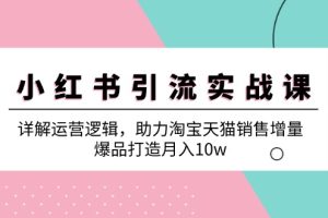 (12809期)小红书引流实战课:详解运营逻辑,助力淘宝天猫销售增量,爆品打造月入10w