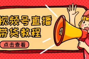 (12796期)视频号直播带货教程:选品思路与话术拆解/掌握多种带货套路/提升直播效果