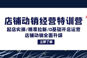 (12794期)店铺动销经营特训营:起店实操/精准拉新/0基础开店运营/店铺动销全面升级