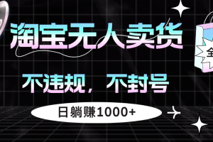 (12780期)淘宝无人卖货4,不违规不封号,简单无脑,日躺赚1000+