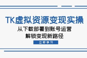 (12770期)TK虚拟资源变现实操:从下载部署到账号运营,解锁变现新路径