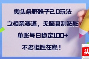 (12763期)微头条野路子2.0玩法之相亲赛道,无脑复制粘贴,单账号日稳定100+,不…