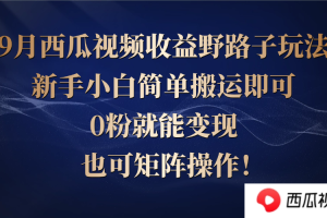 (12760期)西瓜视频收益野路子玩法,新手小白简单搬运即可,0粉就能变现,也可矩…