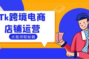 (12757期)Tk跨境电商店铺运营:选品策略与流量变现技巧,助力跨境商家成功出海