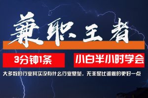 (12721期)兼职王者,3分钟1条无脑批量操作,新人小白半小时学会,长期稳定 一天200+